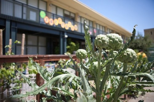 Photo courtesy of Education Outside.