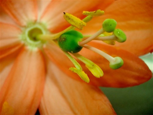 Photo: Ted Kipping. Used with permission.