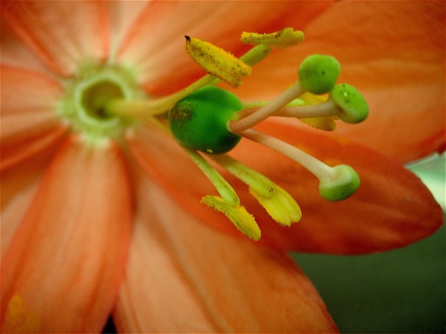 Photo: Ted Kipping. Used with permission.