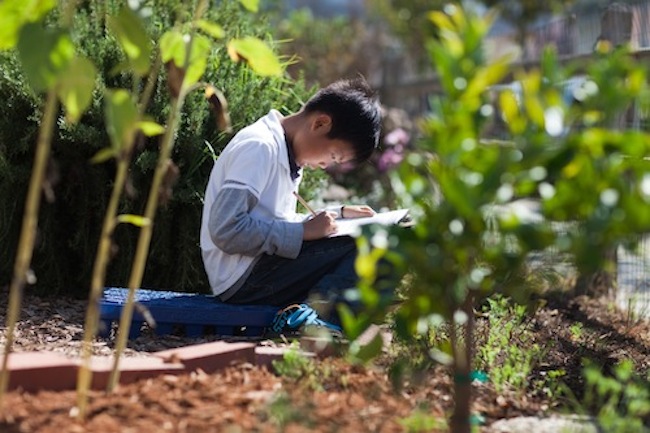 Photo courtesy of Education Outside.