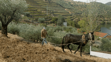 2016-07-23-1469232429-189458-port_still_1-1-87-thumb