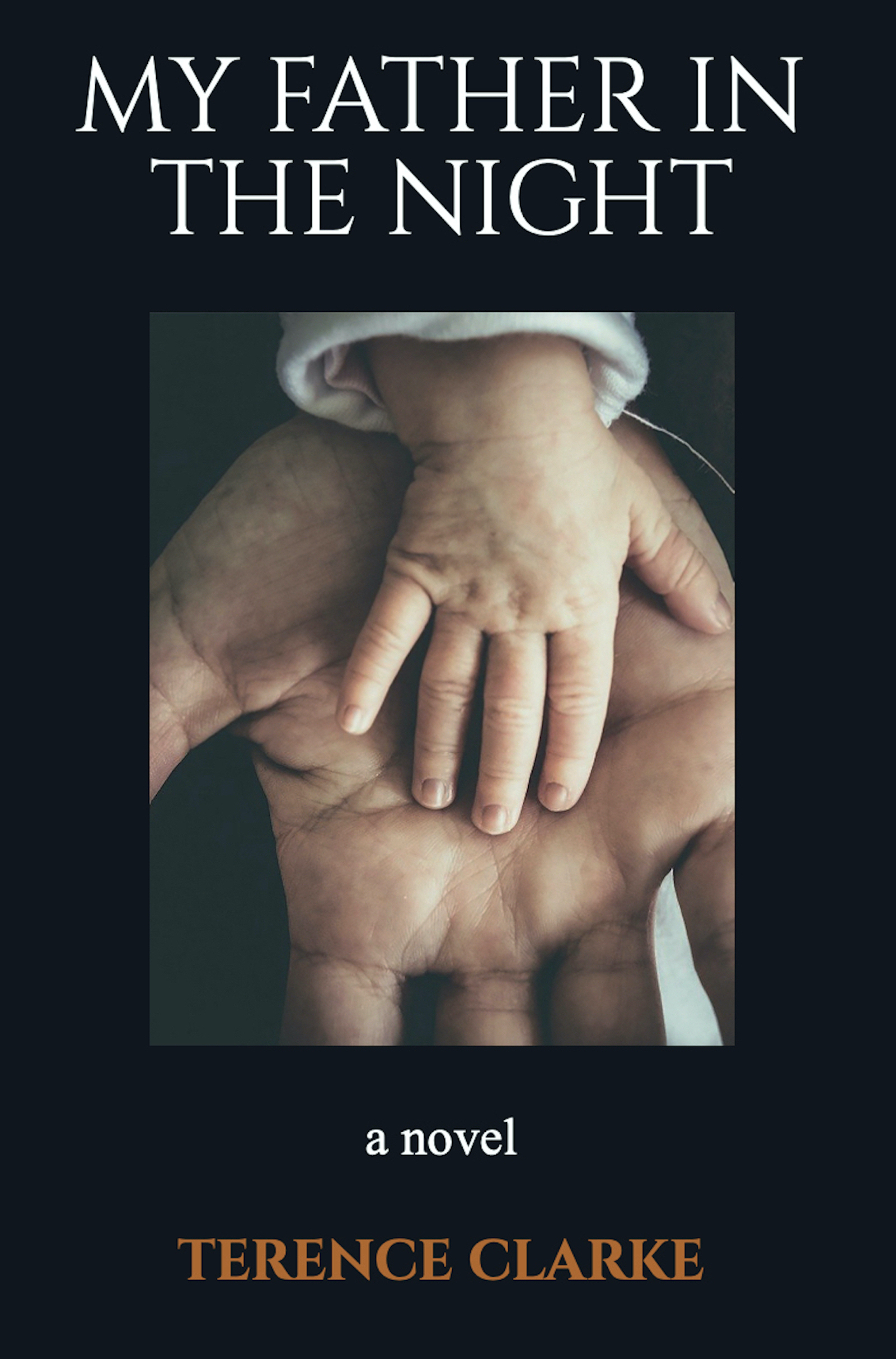 2020-01-30My Father In The Night_cover